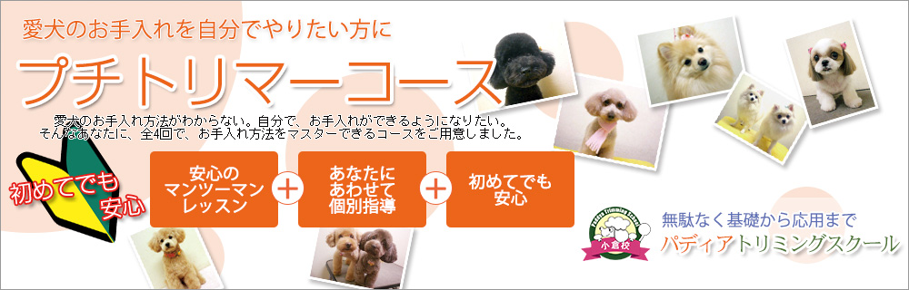プチトリマーコース