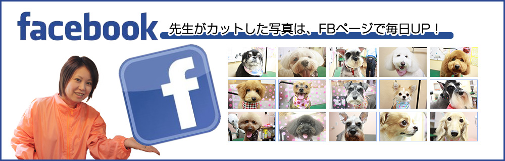 パディアfacebook
